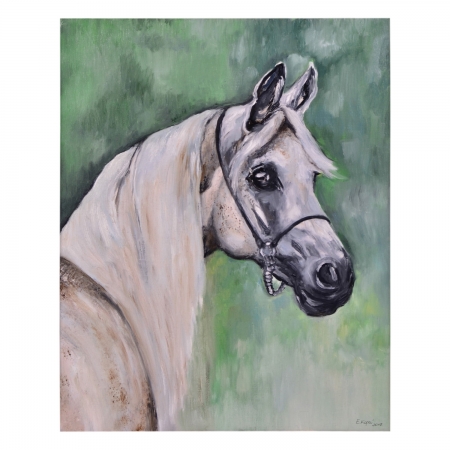 obraz Siwy koń